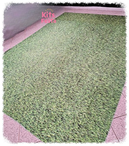 TAPETE VERDE, RELVA, decoração de festas, ilha de sao miguel, açores,