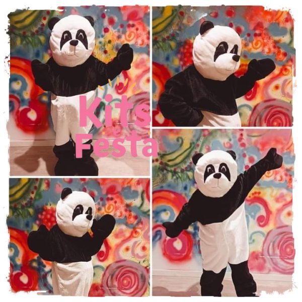 mascote aluguer na ilha de são miguel, açores. festas, decorações